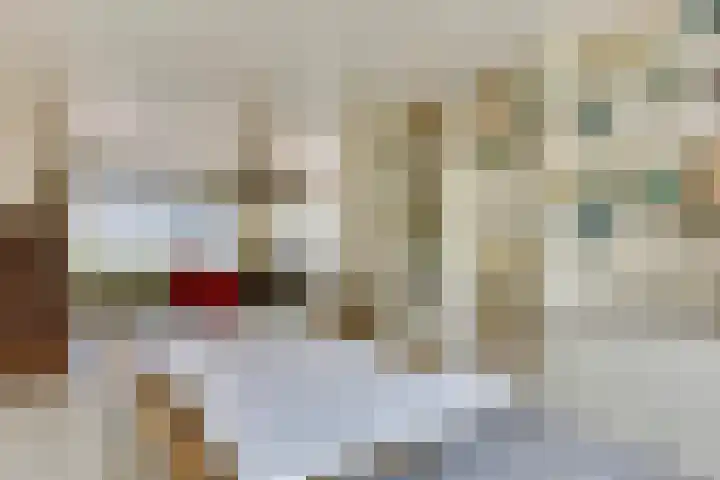 Amstellaan 4 Son en Breugel thumbnail 18