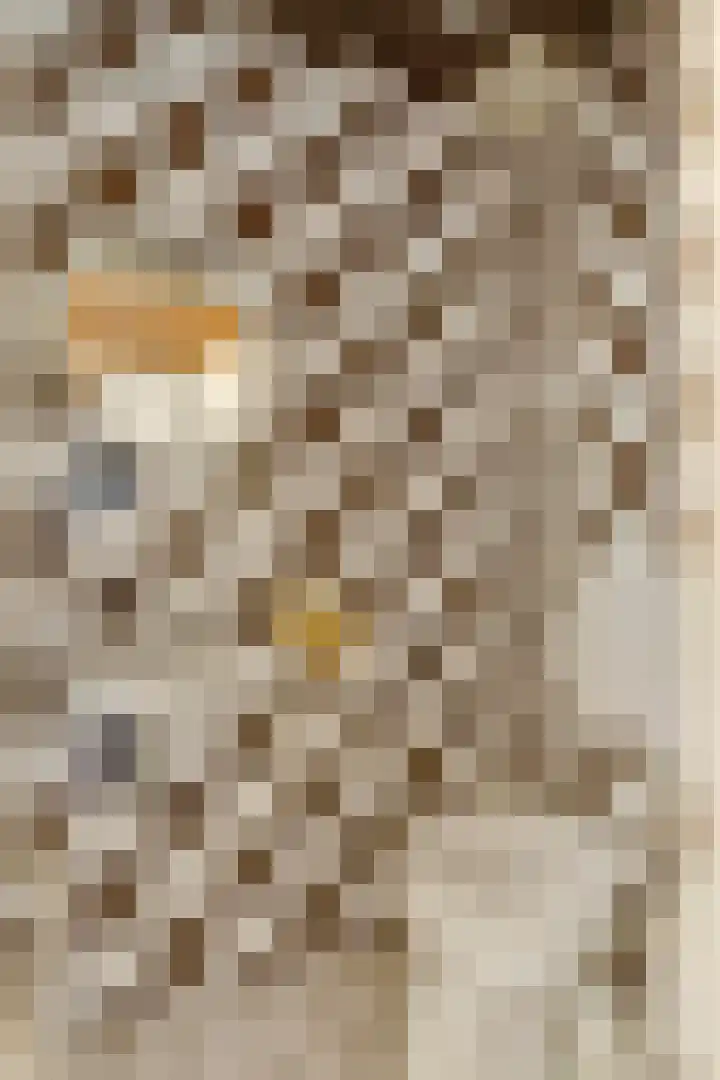 Amstellaan 4 Son en Breugel thumbnail 35