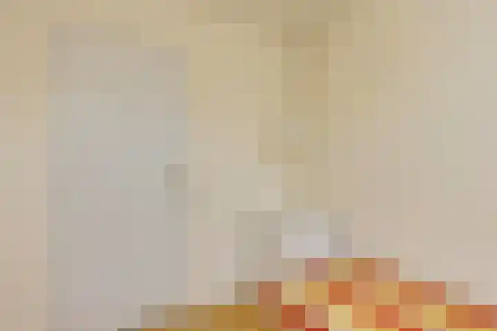 Amstellaan 4 Son en Breugel thumbnail 43