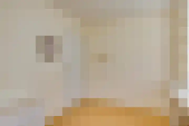 Amstellaan 4 Son en Breugel thumbnail 45