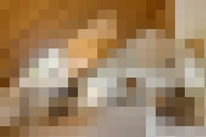 Amstellaan 4 Son en Breugel thumbnail 49