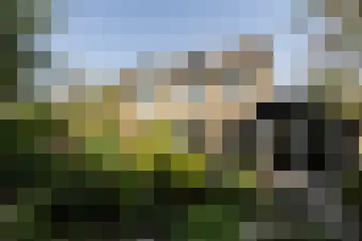 Amstellaan 4 Son en Breugel thumbnail 5