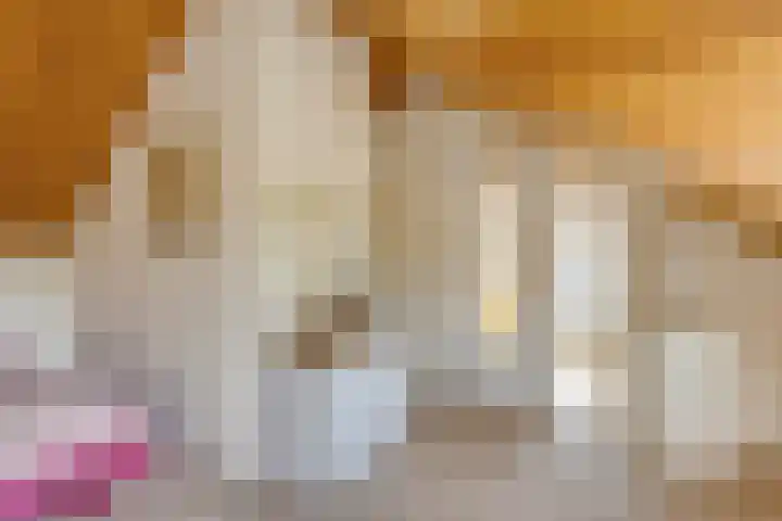 Amstellaan 4 Son en Breugel thumbnail 51