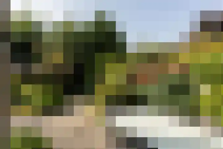 Amstellaan 4 Son en Breugel thumbnail 55