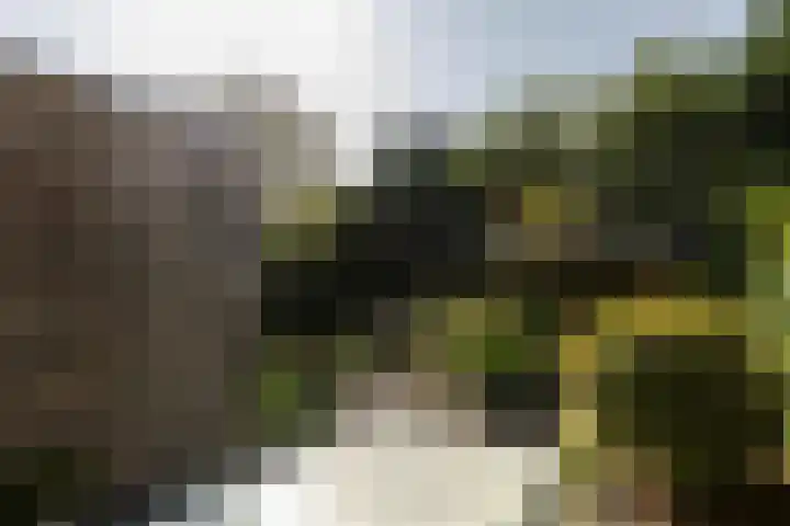 Amstellaan 4 Son en Breugel thumbnail 56