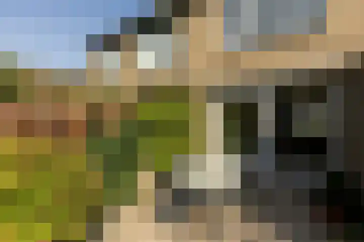 Amstellaan 4 Son en Breugel thumbnail 57