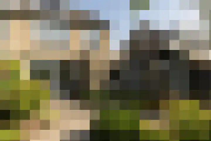 Amstellaan 4 Son en Breugel thumbnail 58