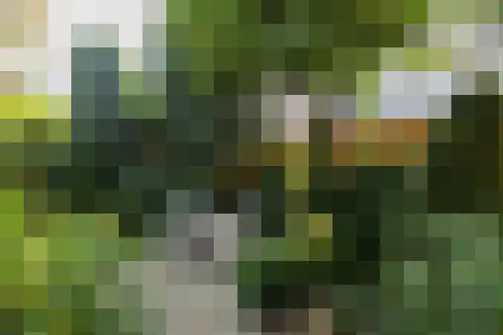 Amstellaan 4 Son en Breugel thumbnail 59