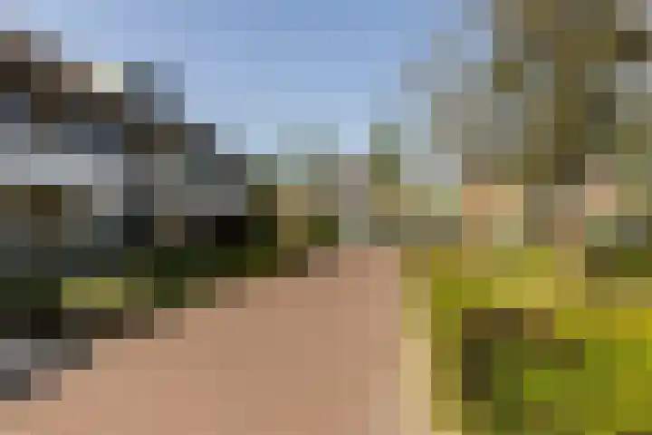 Amstellaan 4 Son en Breugel thumbnail 6