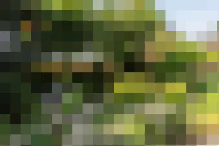 Amstellaan 4 Son en Breugel thumbnail 60