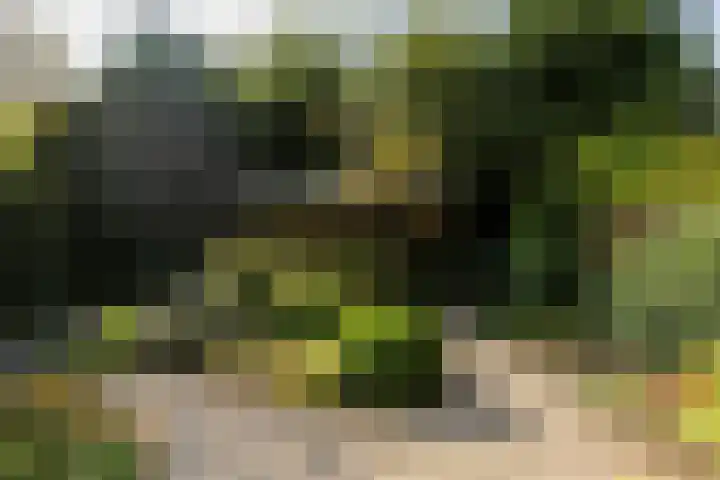 Amstellaan 4 Son en Breugel thumbnail 61