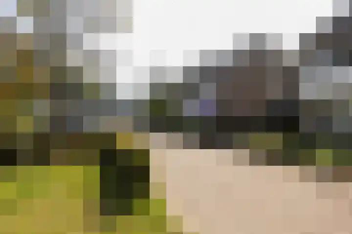Amstellaan 4 Son en Breugel thumbnail 9