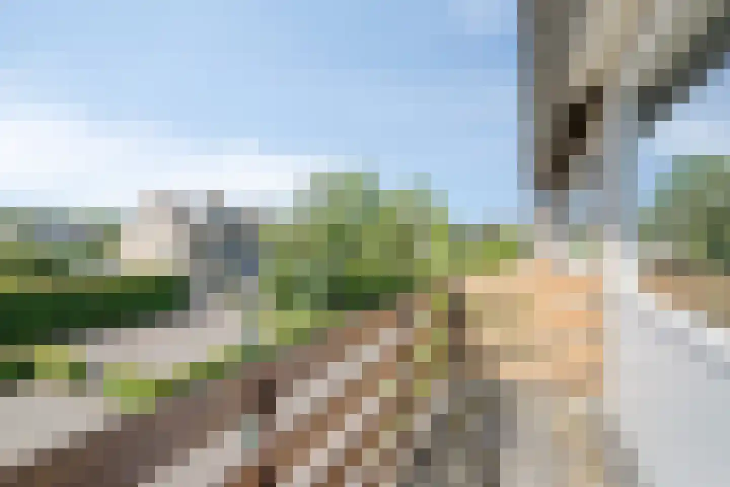 Amstellaan 43 Son en Breugel thumbnail 26
