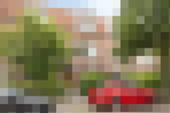 Amstellandlaan 37 Amstelveen thumbnail 25