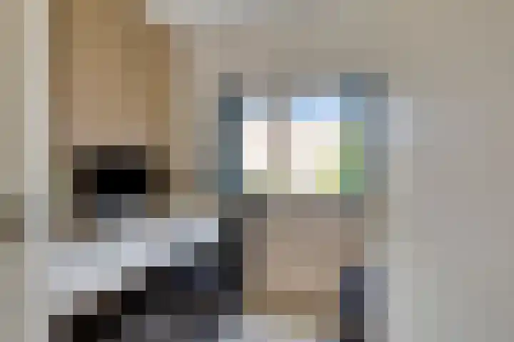 Amstellandlaan 37 Amstelveen thumbnail 6