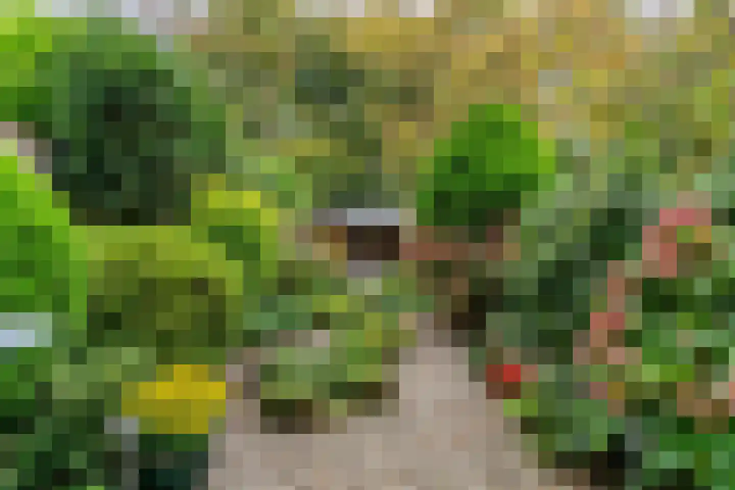 Amsteloord 34 Woerden thumbnail 4