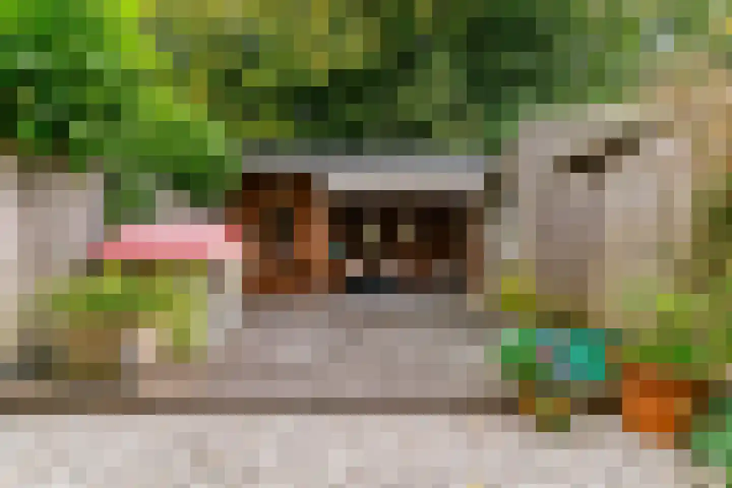 Amsteloord 34 Woerden thumbnail 40