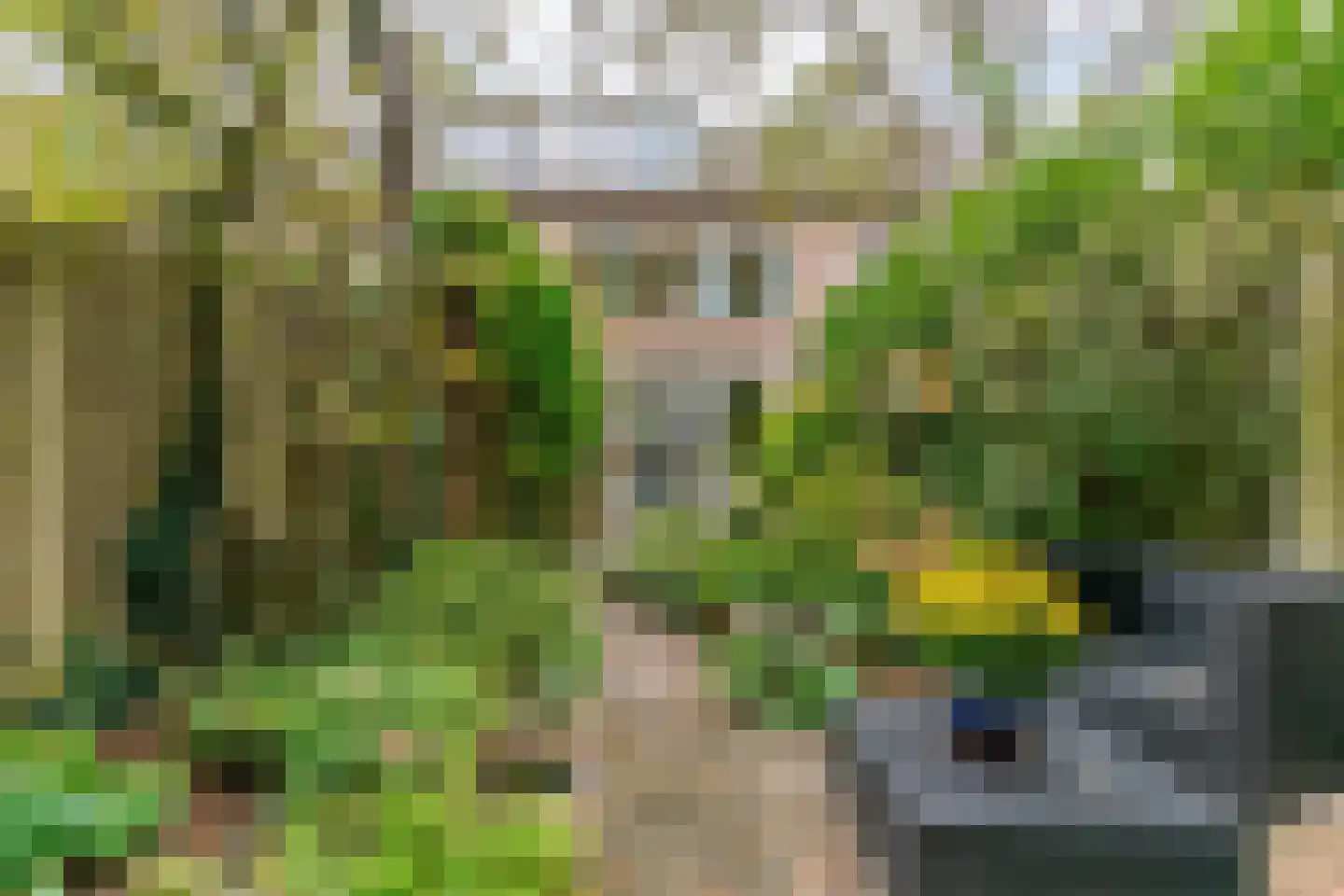 Amsteloord 34 Woerden thumbnail 42