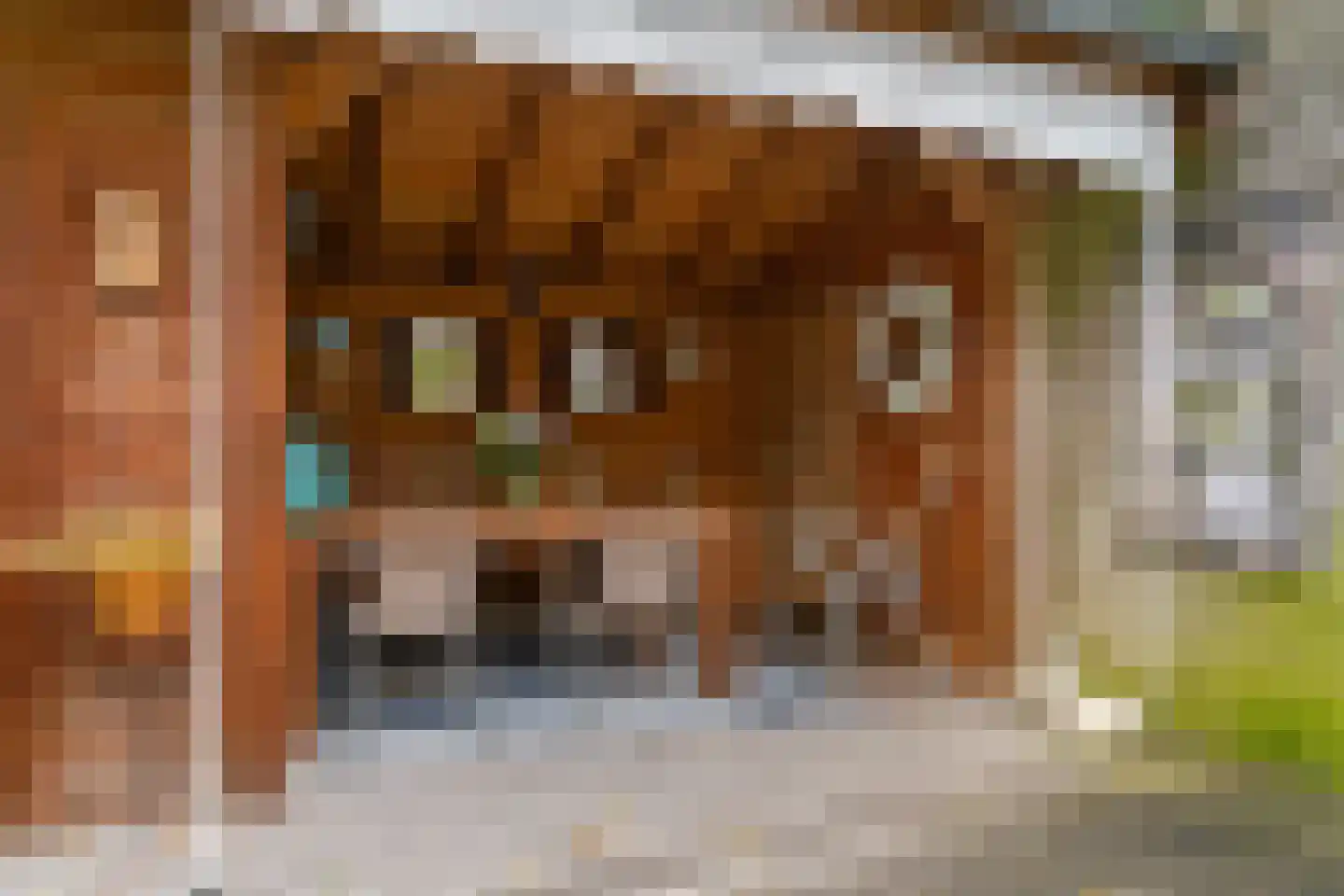 Amsteloord 34 Woerden thumbnail 8