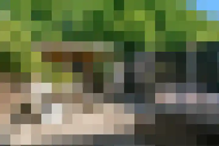 Amsteloord 39 Woerden thumbnail 31