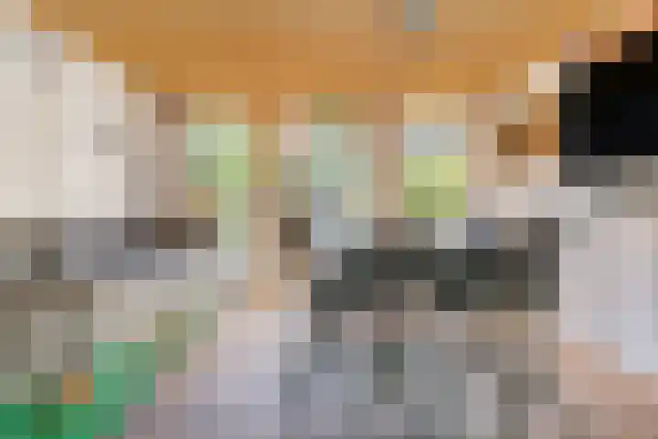 Amsteloord 39 Woerden thumbnail 34