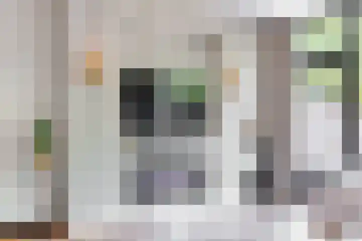 Amsteloord 39 Woerden thumbnail 8