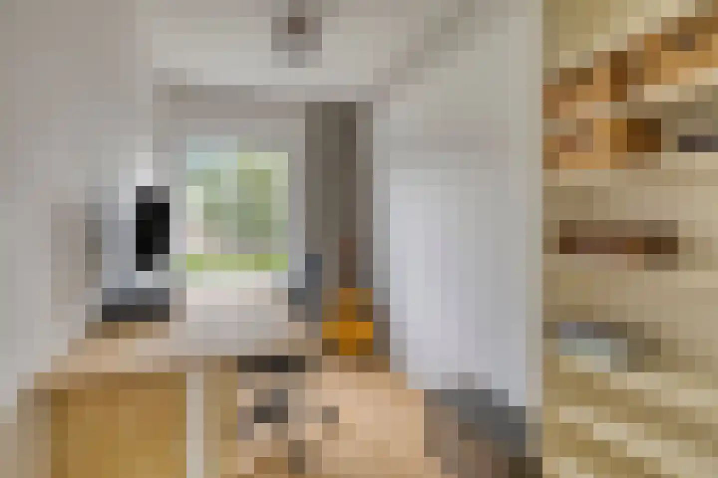 Amsteloord 52 Woerden thumbnail 20