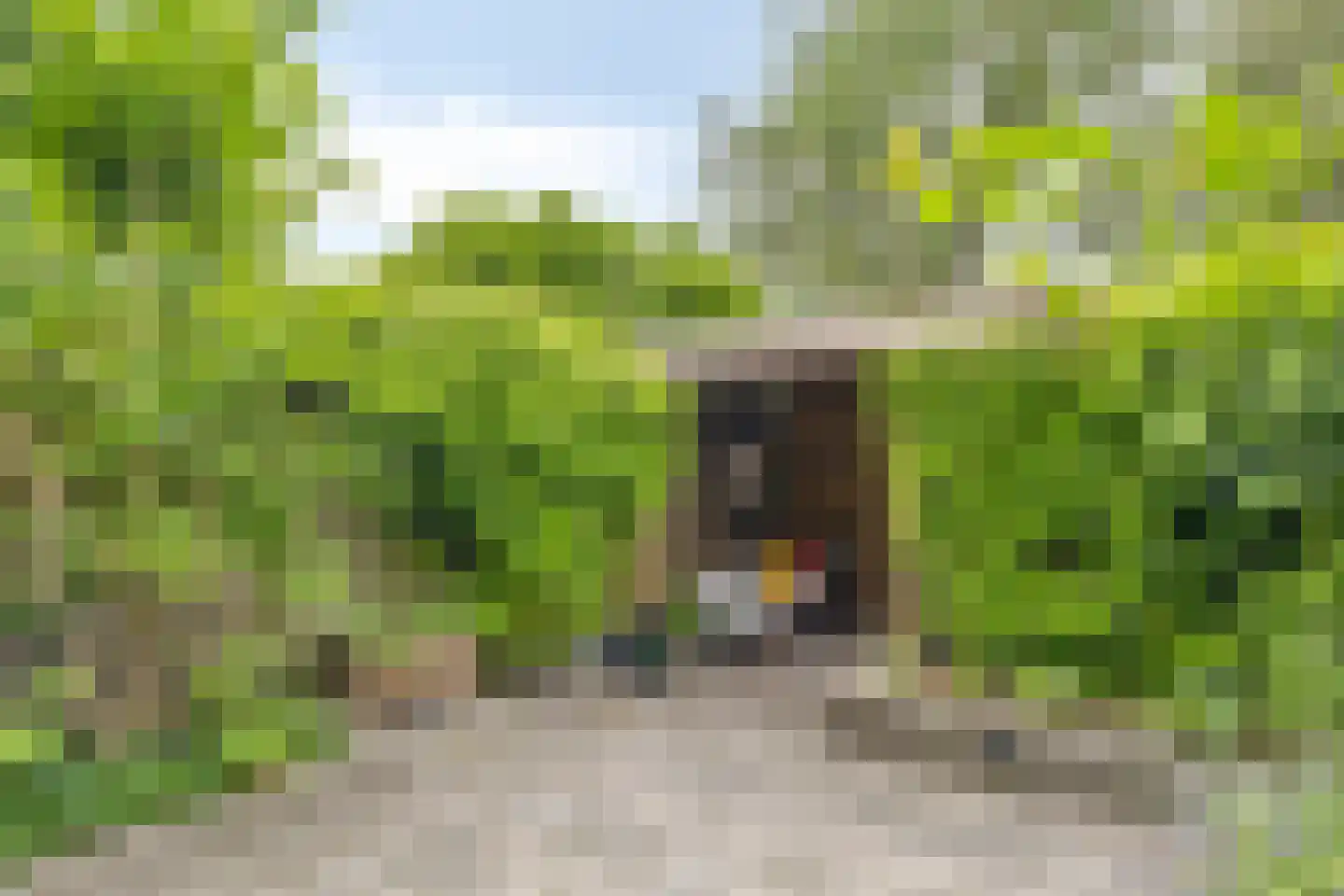 Amsteloord 52 Woerden thumbnail 34