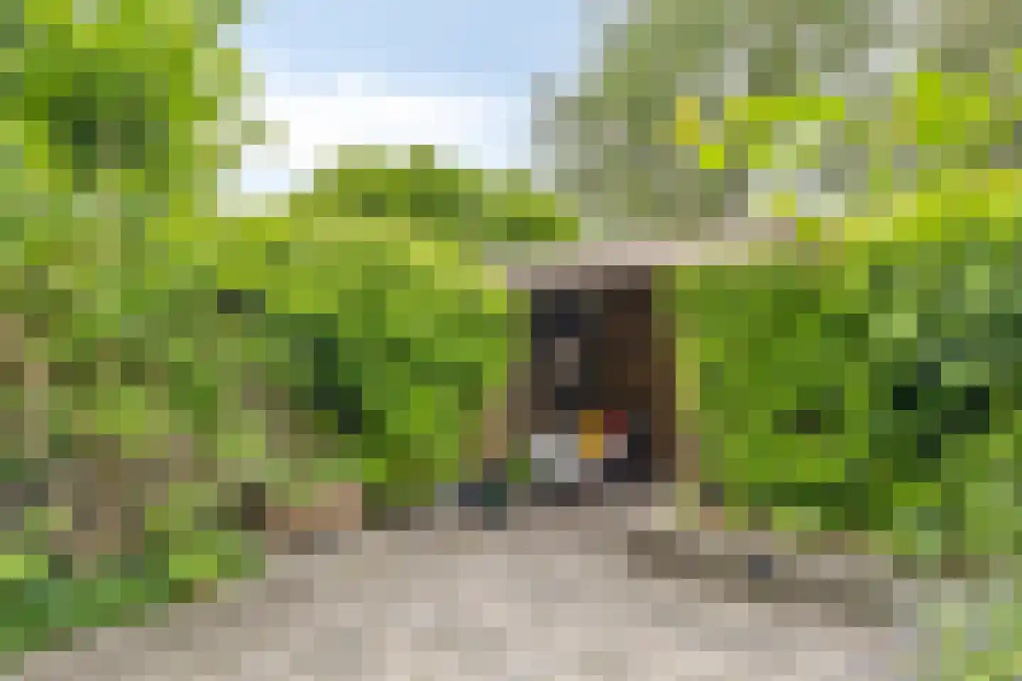 Amsteloord 52 Woerden thumbnail 5