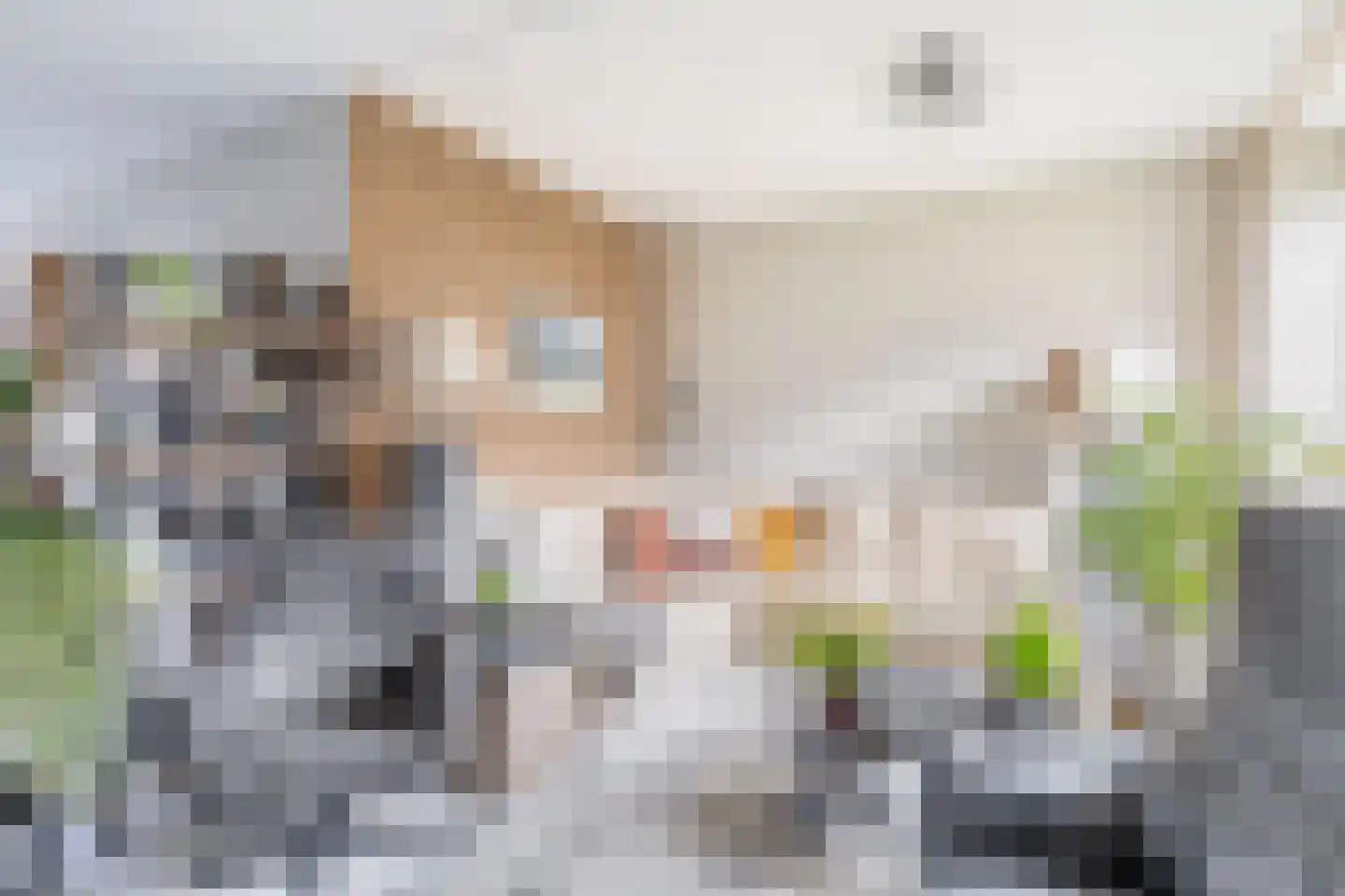 Amstelpad 33 Rozenburg thumbnail 14