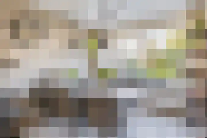 Amstelpad 33 Rozenburg thumbnail 16