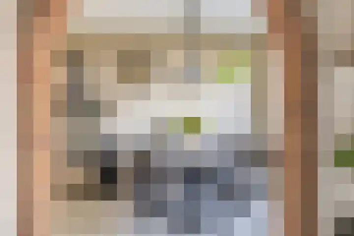 Amstelpad 33 Rozenburg thumbnail 18