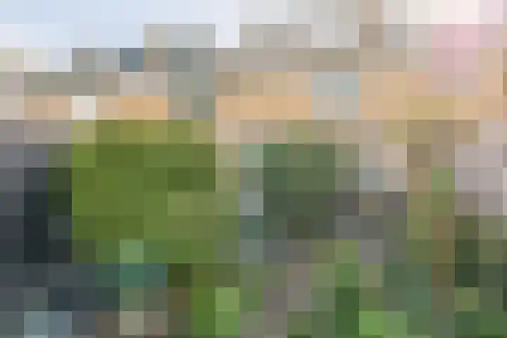 Amstelpad 33 Rozenburg thumbnail 24