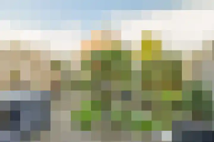 Amstelpad 33 Rozenburg thumbnail 26