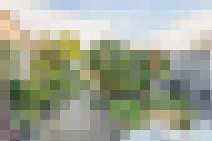 Amstelpad 33 Rozenburg thumbnail 27
