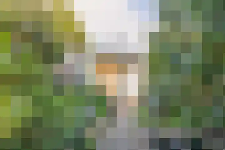 Amstelpad 33 Rozenburg thumbnail 28