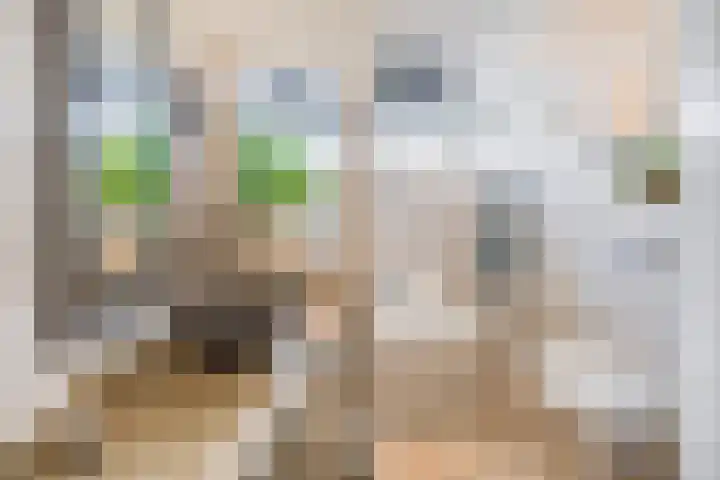 Amstelpad 33 Rozenburg thumbnail 37