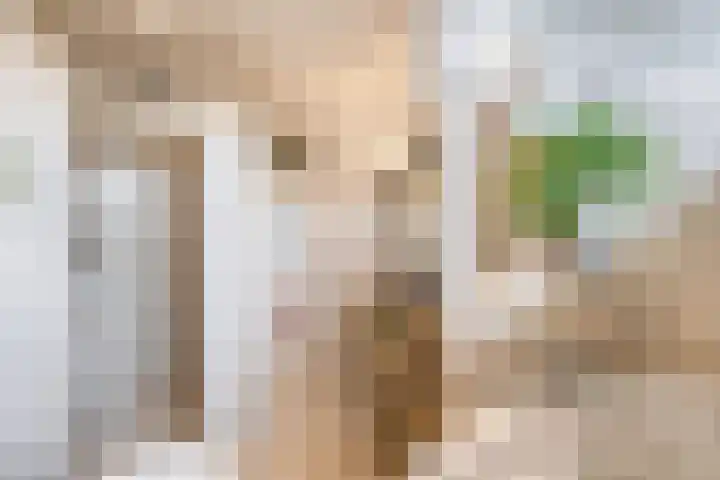 Amstelpad 33 Rozenburg thumbnail 4