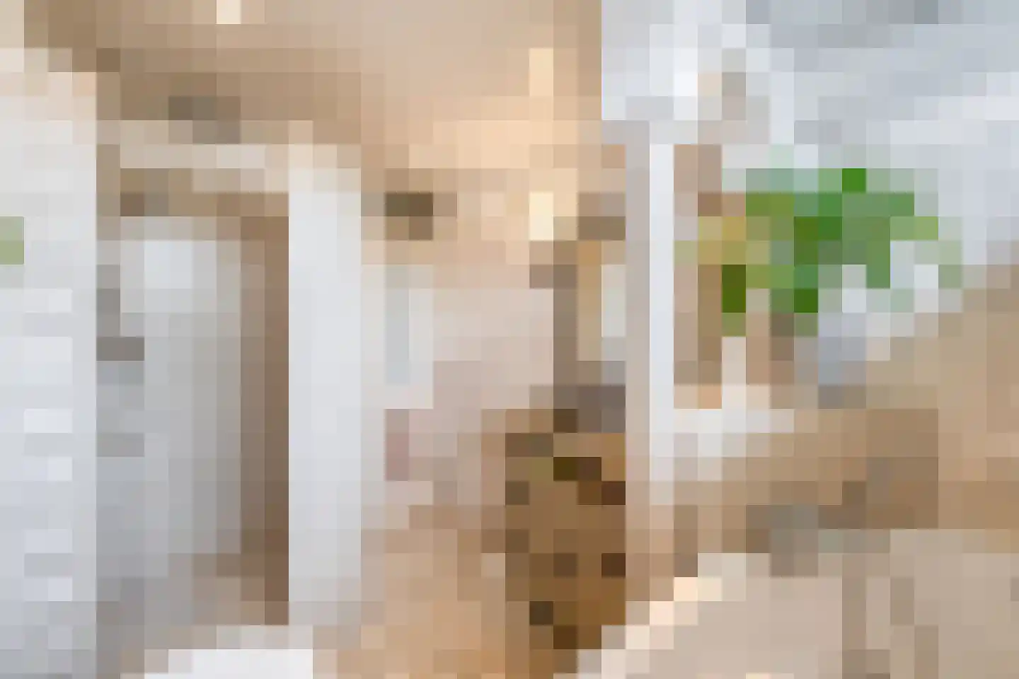Amstelpad 33 Rozenburg thumbnail 4