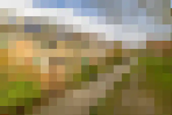 Amstelpad 33 Rozenburg thumbnail 46