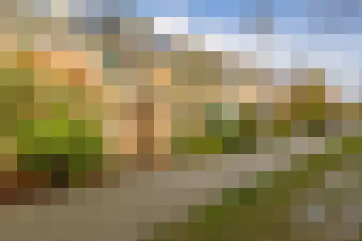 Amstelpad 33 Rozenburg thumbnail 8