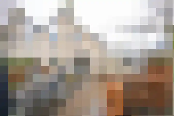 Amstelsingel 9 Culemborg thumbnail 28
