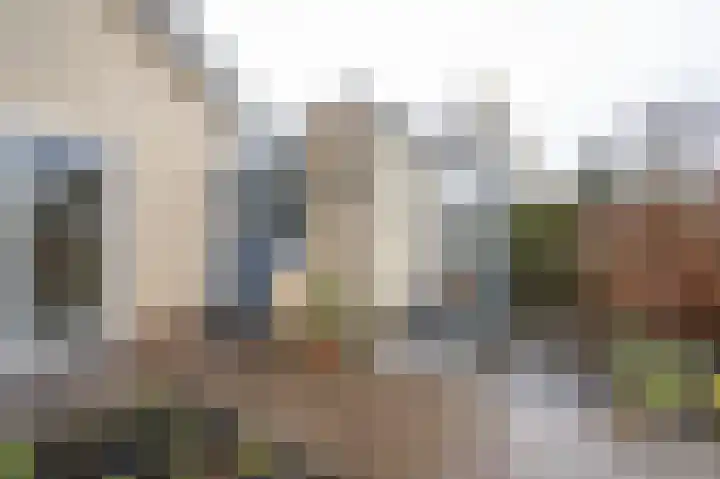 Amstelsingel 9 Culemborg thumbnail 30