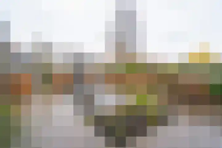 Amstelsingel 9 Culemborg thumbnail 34