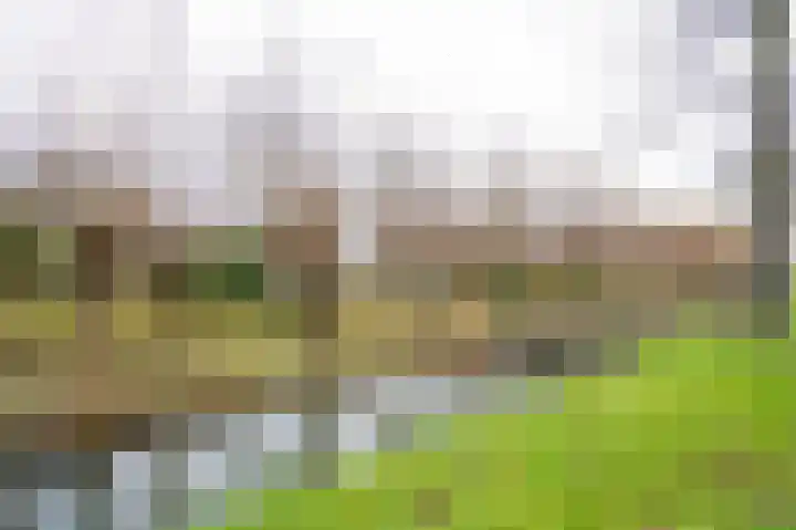 Amstelsingel 9 Culemborg thumbnail 38