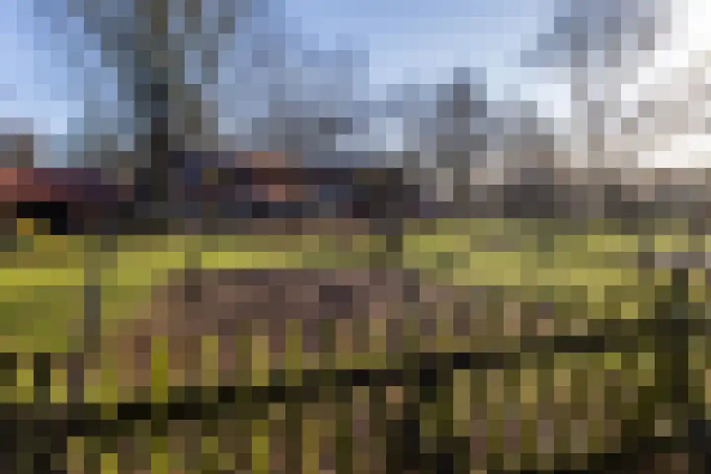 Amstelstraat 1 Terneuzen thumbnail 32