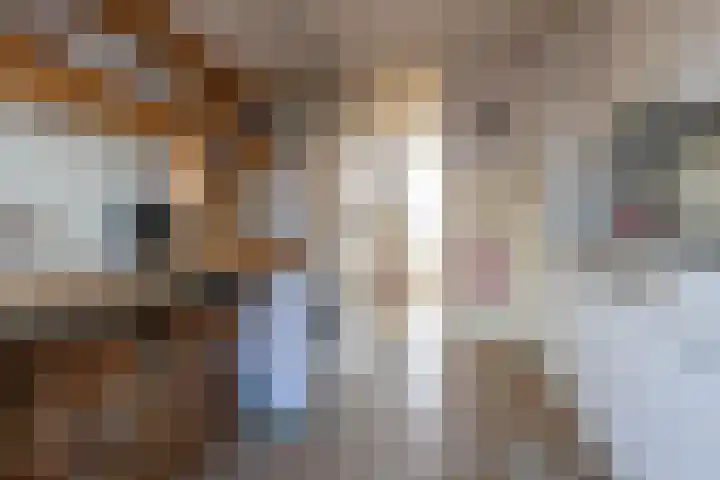 Amstelstraat 10 Alkmaar thumbnail 11