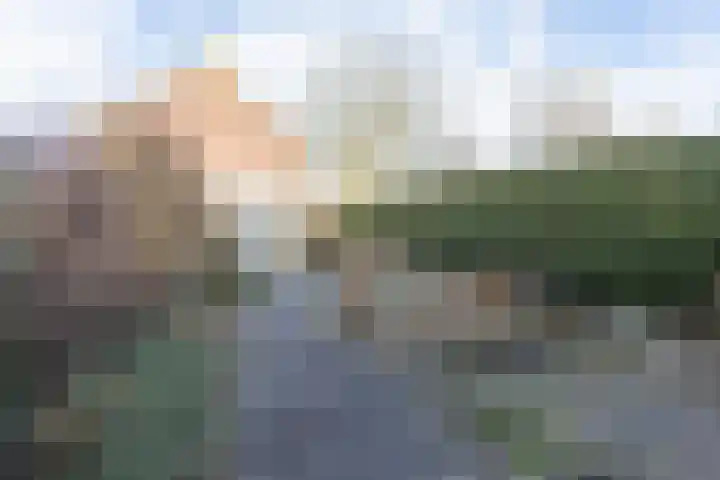 Amstelstraat 10 Alkmaar thumbnail 15