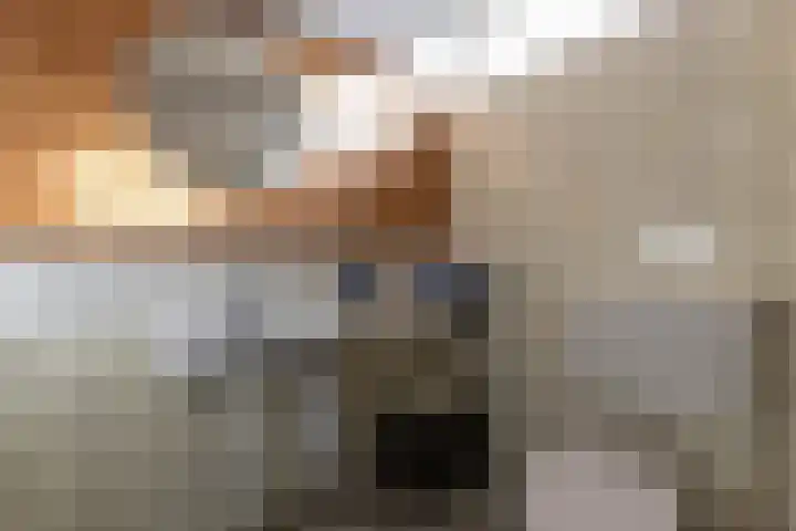 Amstelstraat 10 Alkmaar thumbnail 22