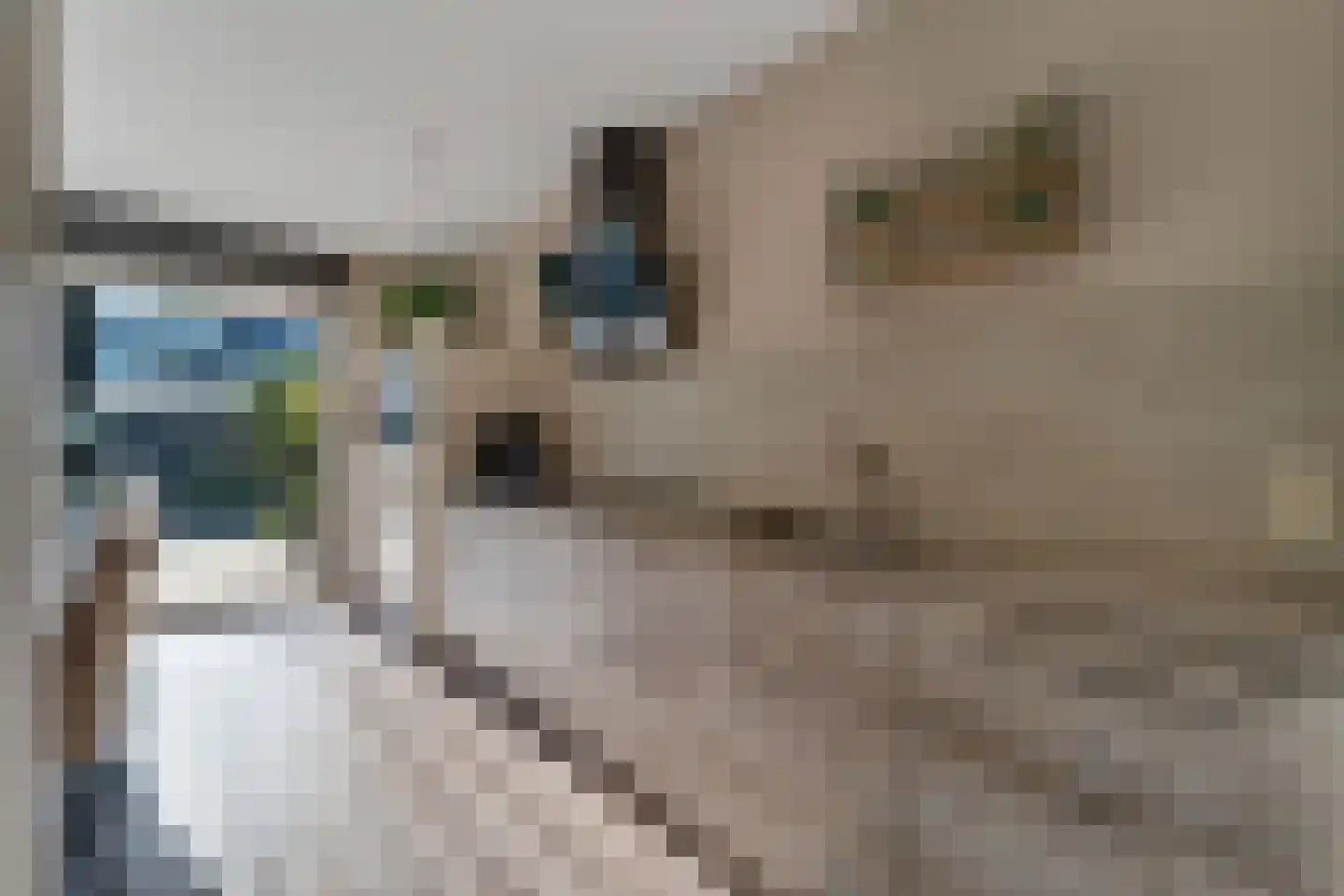 Amstelstraat 10 Nijverdal thumbnail 13